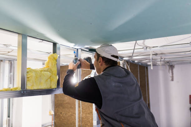Best Eco-Friendly Insulation in Rome, NY