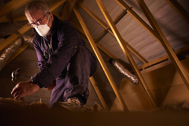 Best Cellulose Insulation in Rome, NY